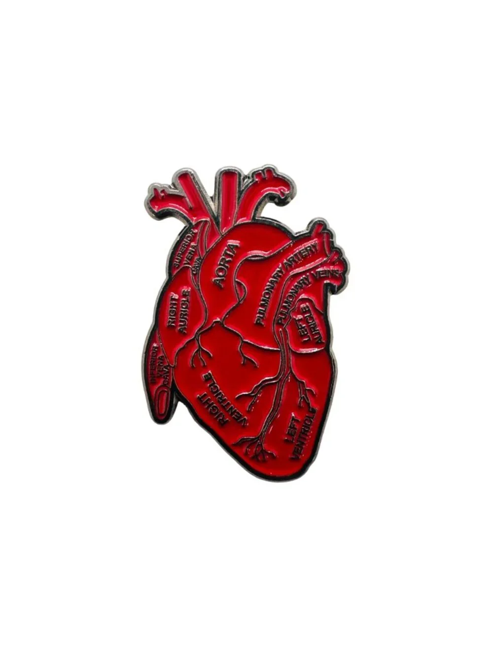 ❤️Anatomical Human Heart Enamel Pin Brooch Red Heart Organ Lapel Anatomy Art❤️